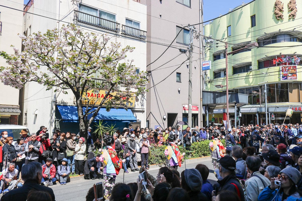 淺草祭典江戶吉原花魁遊街值得看，四月一葉櫻祭登場！