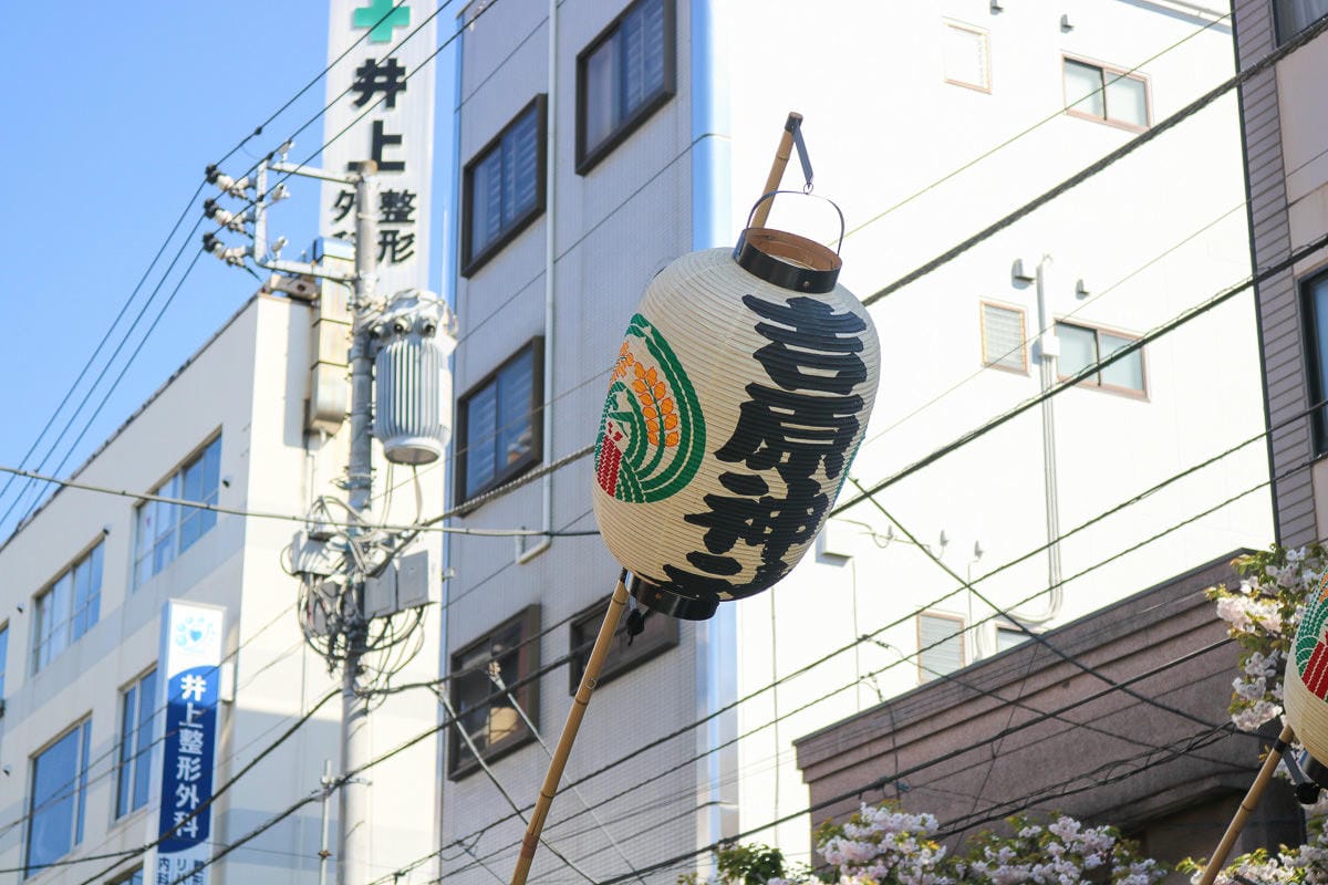 淺草祭典江戶吉原花魁遊街值得看，四月一葉櫻祭登場！