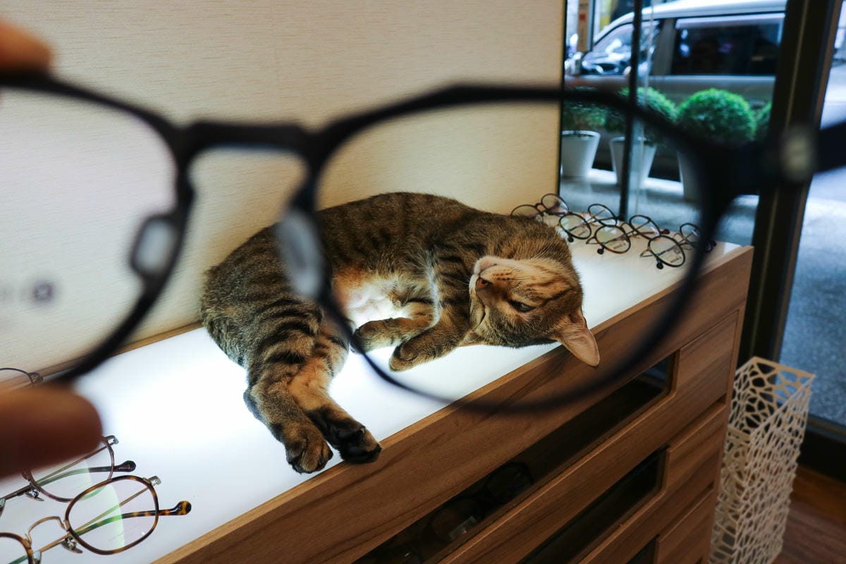 東湖森活眼鏡3D掃描眼鏡BRAGi，配眼鏡不再無趣