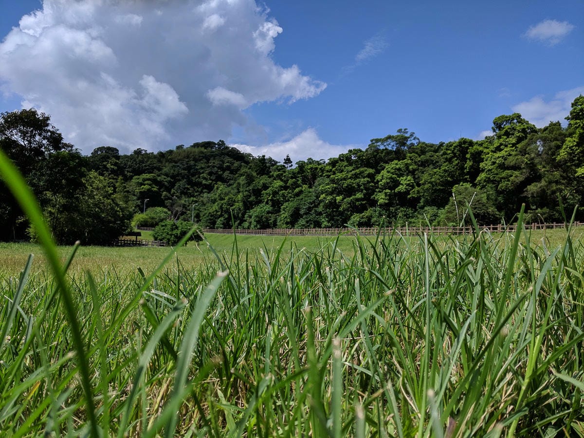 內湖爬山健行走路推薦路線，忠勇山碧山巖金面山拿來練朝聖之路很夠用