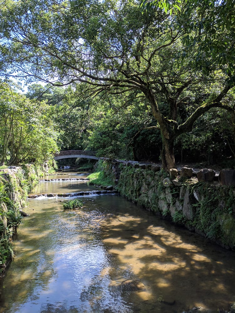 內湖爬山健行走路推薦路線，忠勇山碧山巖金面山拿來練朝聖之路很夠用