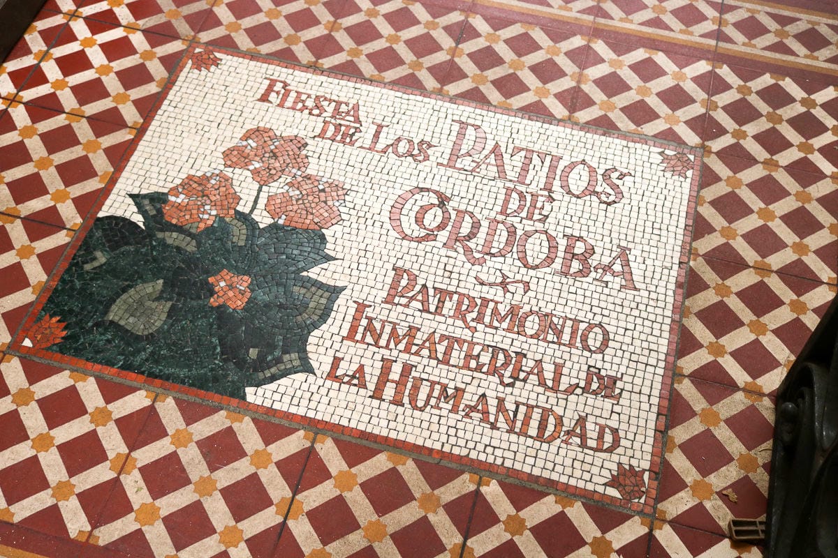 哥多華美食Taberna Salinas西班牙米其林推薦太好吃當地阿嬤推薦