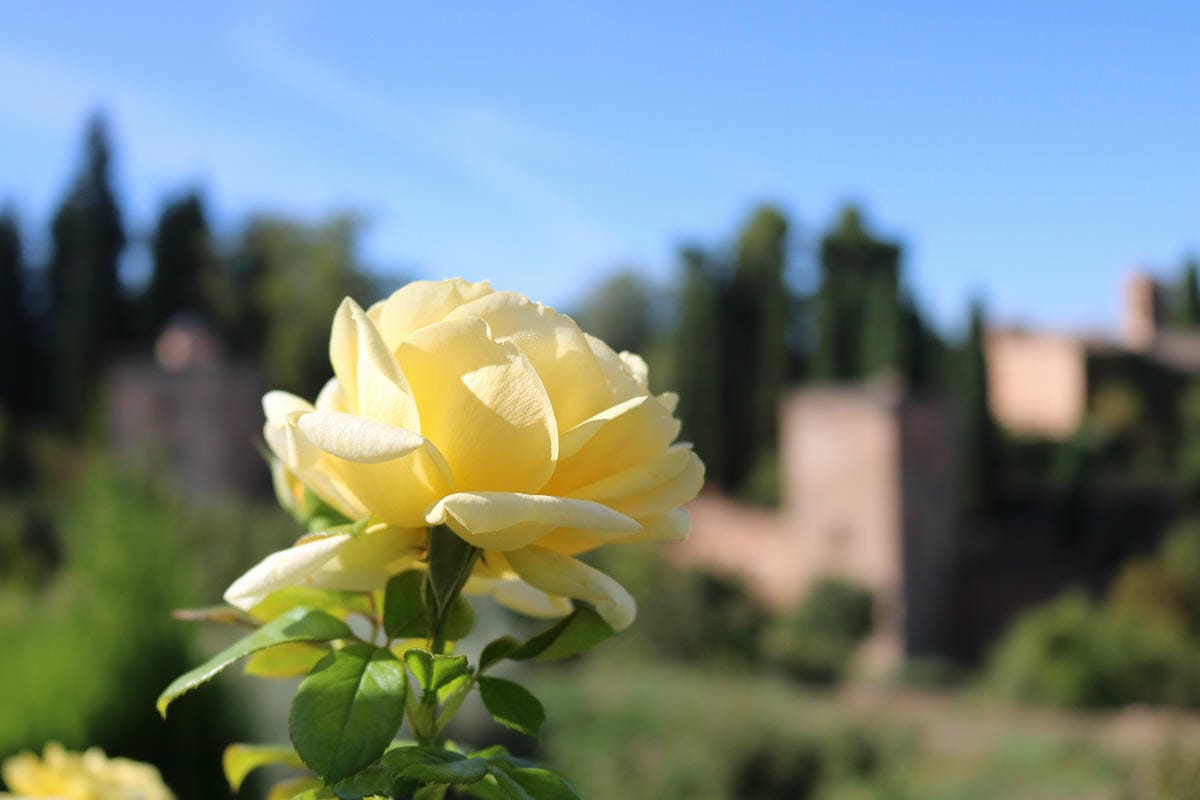 格拉納達阿蘭布拉宮西班牙最美的阿拉伯城市附推薦瞭望台拍大片 - 第6張圖 格拉納達阿蘭布拉宮西班牙最美的阿拉伯城市附推薦瞭望台拍大片