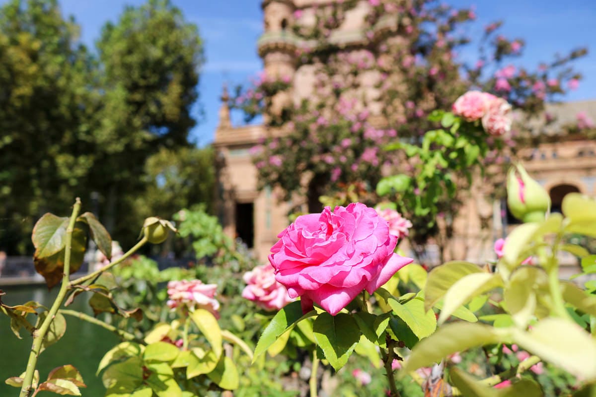 塞維亞自助|景點交通住宿旅遊路線 推薦早餐與酒吧 - 第10張圖 塞維亞自助|景點交通住宿旅遊路線 推薦早餐與酒吧
