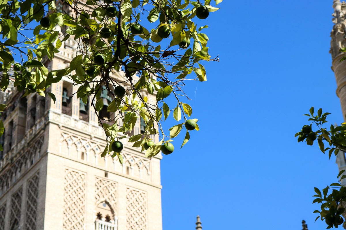 塞維亞自助|景點交通住宿旅遊路線 推薦早餐與酒吧 - 第53張圖 塞維亞自助|景點交通住宿旅遊路線 推薦早餐與酒吧