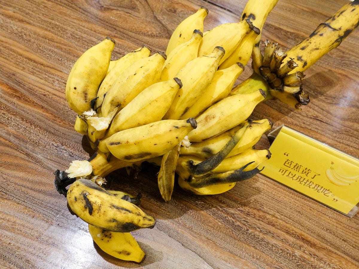 宜蘭悅川酒店自助餐不限時長輩超愛！紅白啤酒暢飲無限