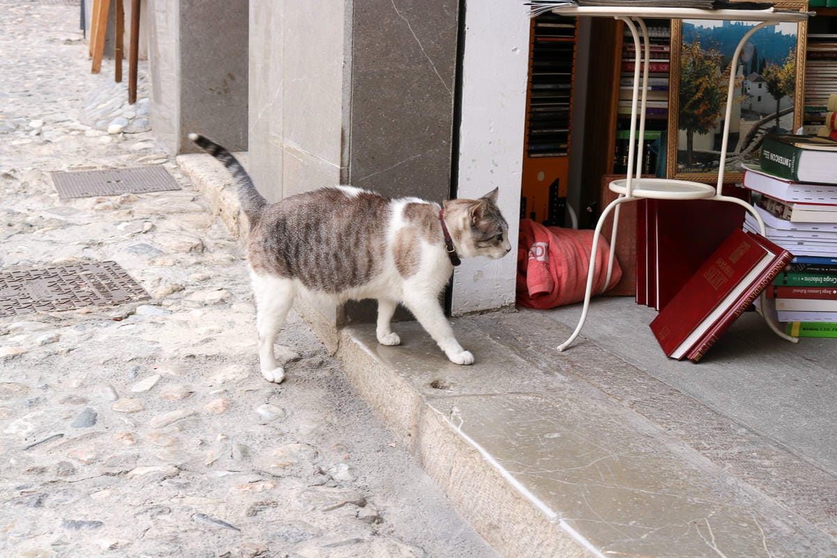 格拉納達自助｜景點交通住宿旅遊路線附推薦餐廳美食