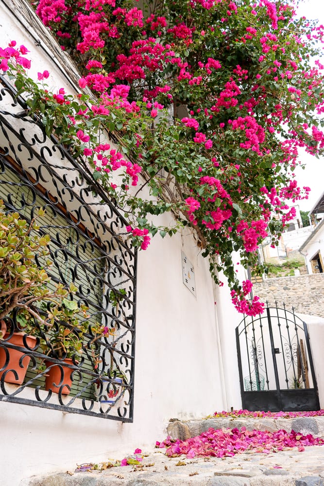 格拉納達自助｜景點交通住宿旅遊路線附推薦餐廳美食