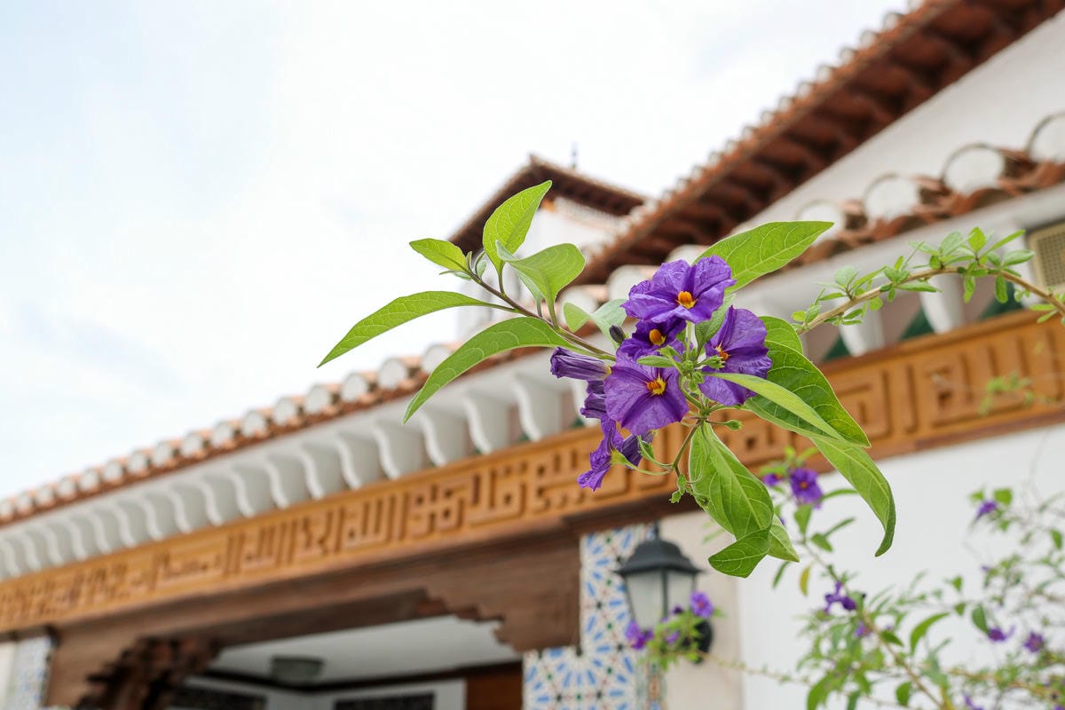 格拉納達自助｜景點交通住宿旅遊路線附推薦餐廳美食