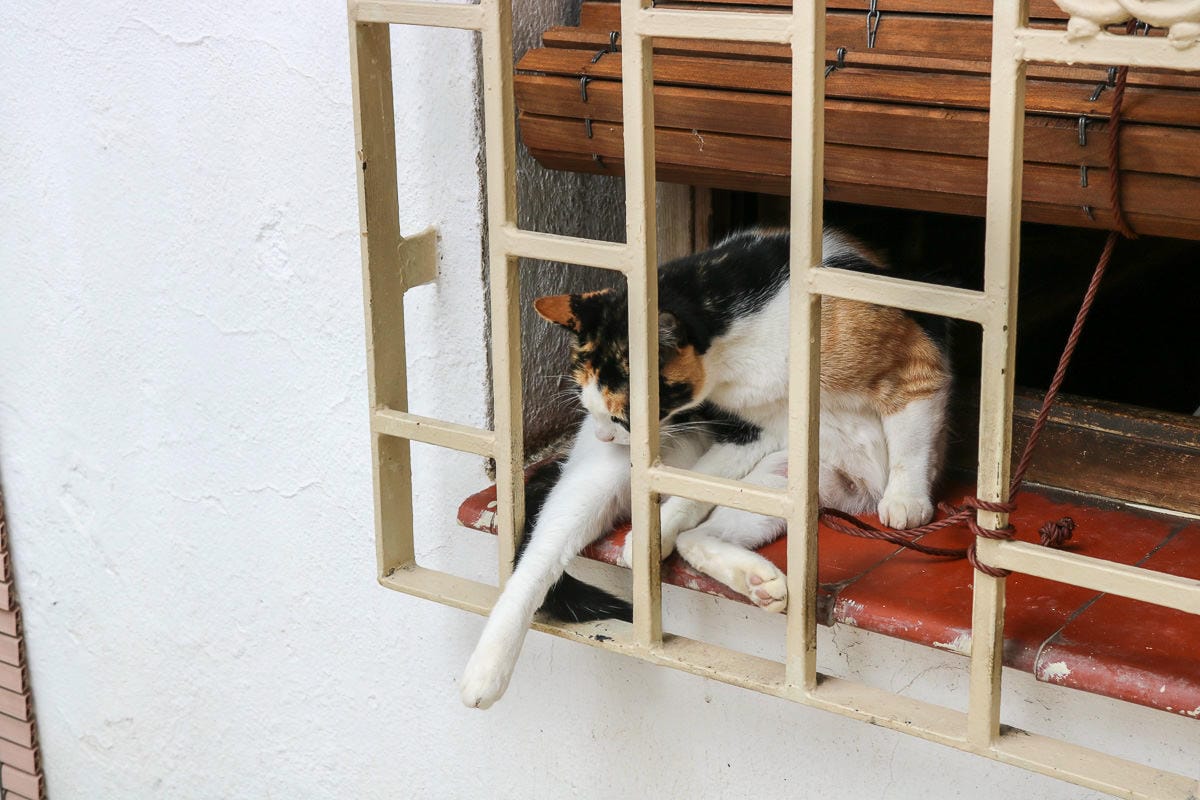 格拉納達自助｜景點交通住宿旅遊路線附推薦餐廳美食