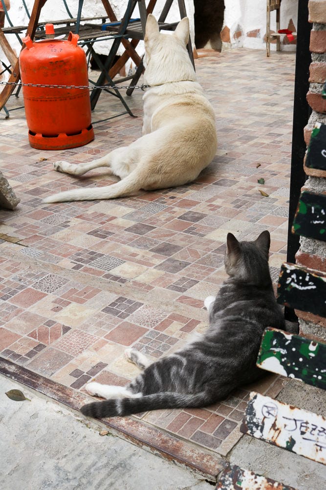 格拉納達自助｜景點交通住宿旅遊路線附推薦餐廳美食