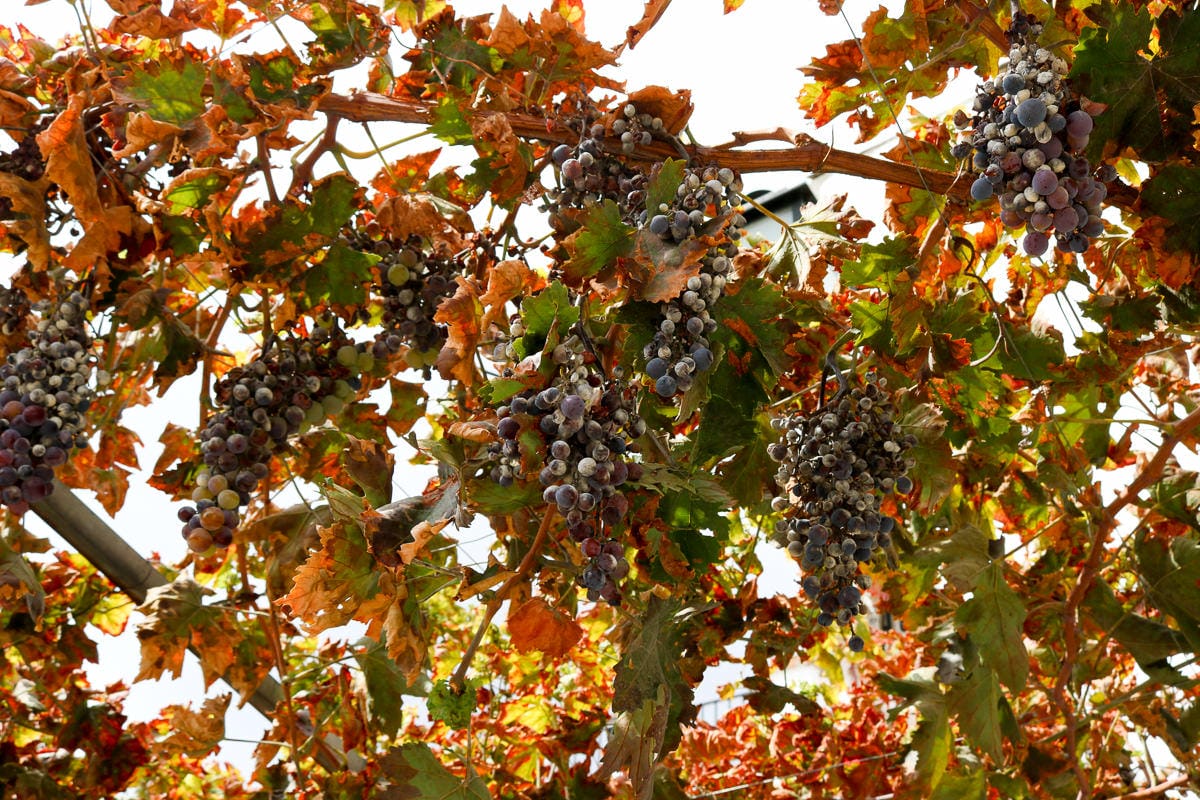 格拉納達自助｜景點交通住宿旅遊路線附推薦餐廳美食