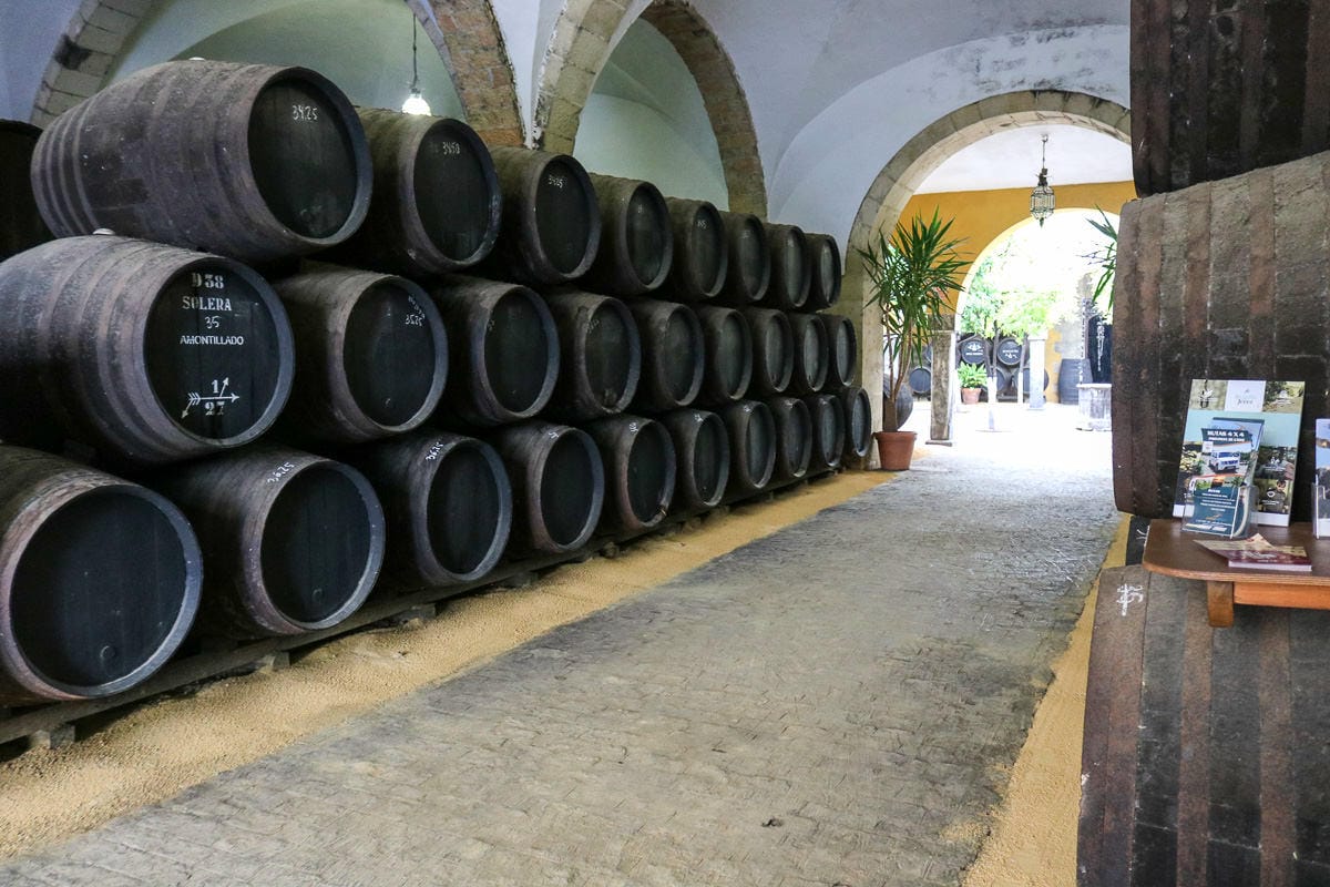 西班牙赫雷斯Jerez雪莉酒莊導覽｜皇室御用葡萄酒莊名不虛傳
