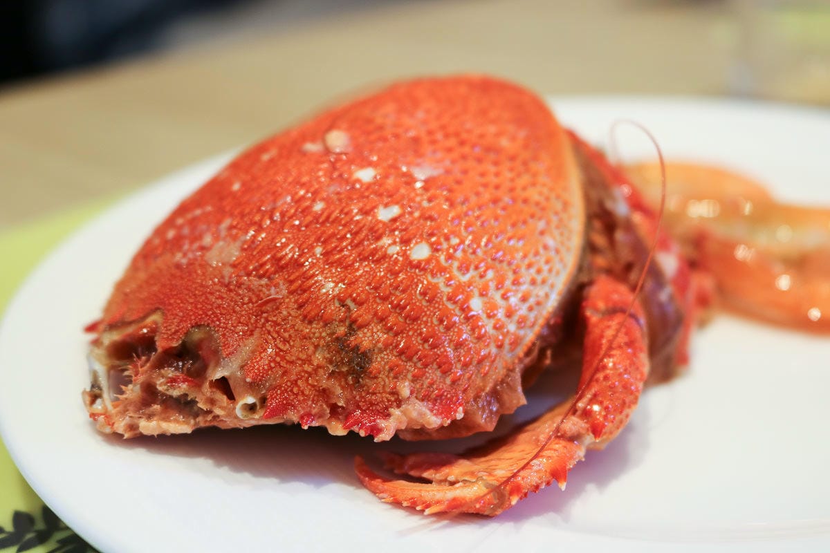 宜蘭威斯汀溫泉度假酒店超越五星！房內溫泉自助餐很棒還有深夜驚喜