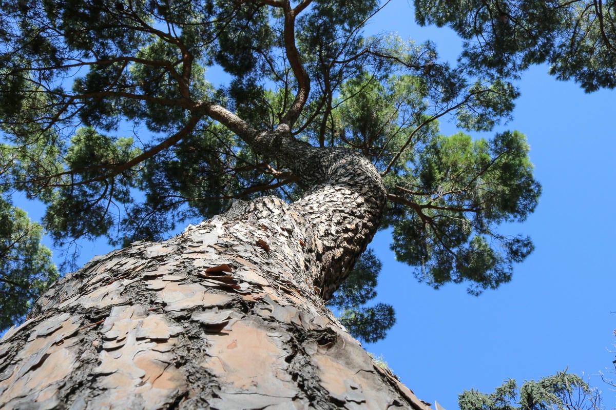 幫馬德里說話!馬德里推薦安全住宿飯店區域與各區特色 - 第9張圖 幫馬德里說話!馬德里推薦安全住宿飯店區域與各區特色