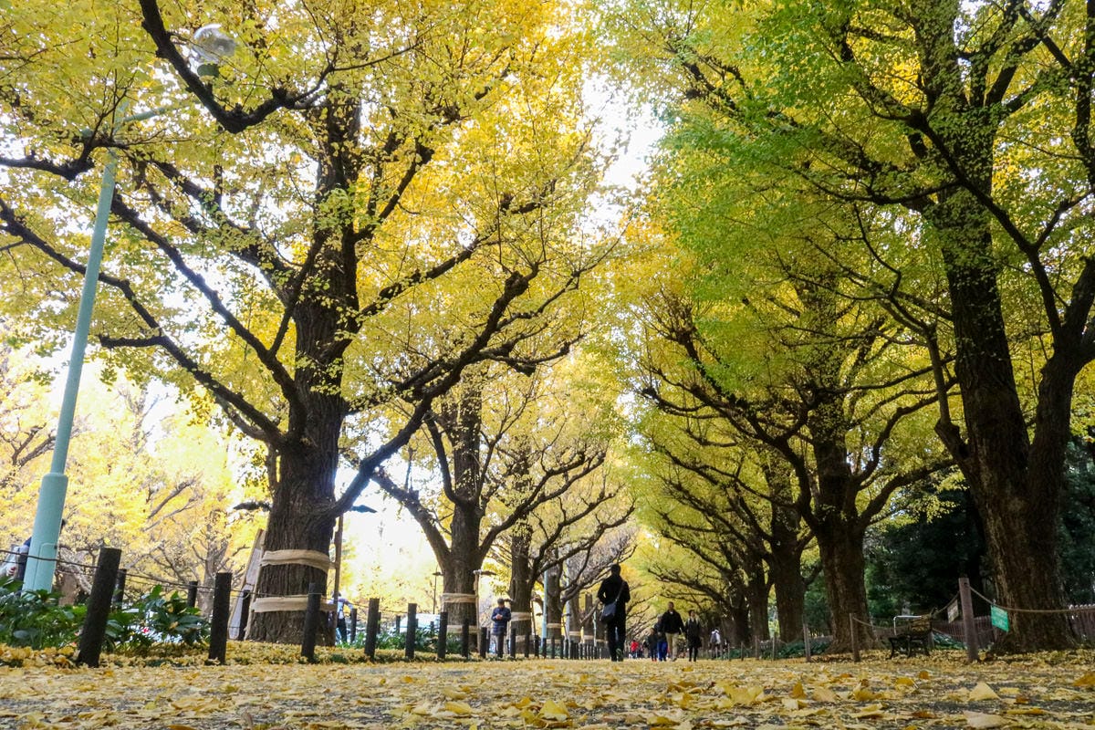 下飛機 Day by Day 愛上東京｜老蝦旅遊工具書推薦好玩好吃好買