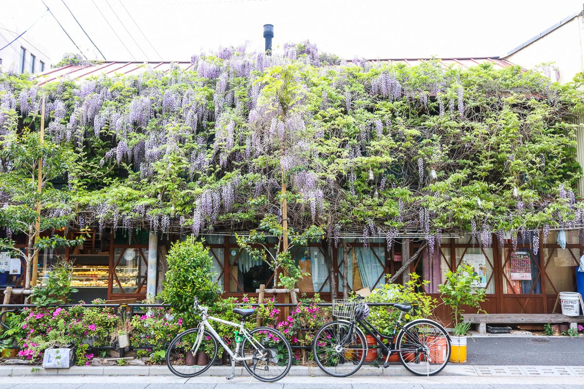 下飛機 Day by Day 愛上東京｜老蝦旅遊工具書推薦好玩好吃好買