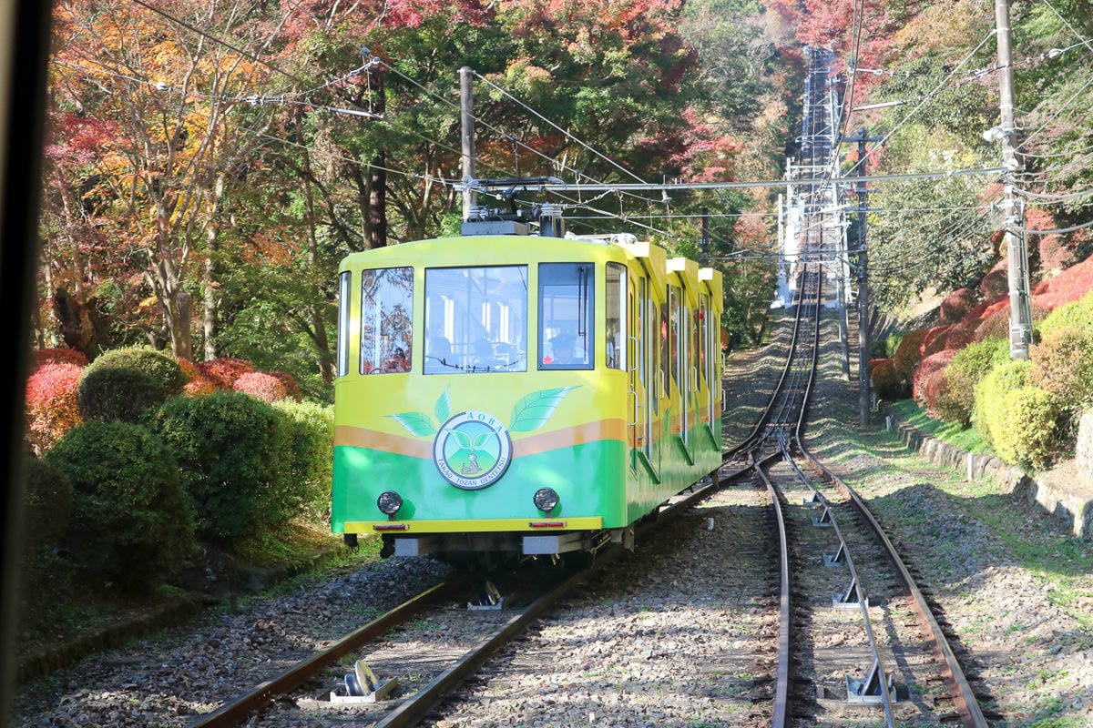 東京近郊高尾山一日爬山健行賞楓,旅遊書上沒說的事 - 第4張圖 東京近郊高尾山一日爬山健行賞楓,旅遊書上沒說的事