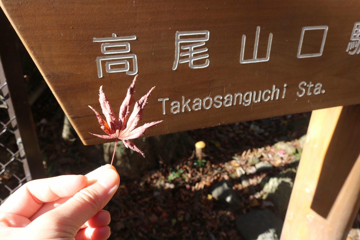 東京近郊高尾山一日爬山健行賞楓,旅遊書上沒說的事 - 第1張圖 東京近郊高尾山一日爬山健行賞楓,旅遊書上沒說的事