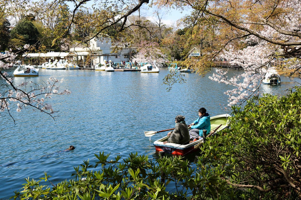 東京近郊高尾山一日爬山健行賞楓,旅遊書上沒說的事 - 第8張圖 東京近郊高尾山一日爬山健行賞楓,旅遊書上沒說的事
