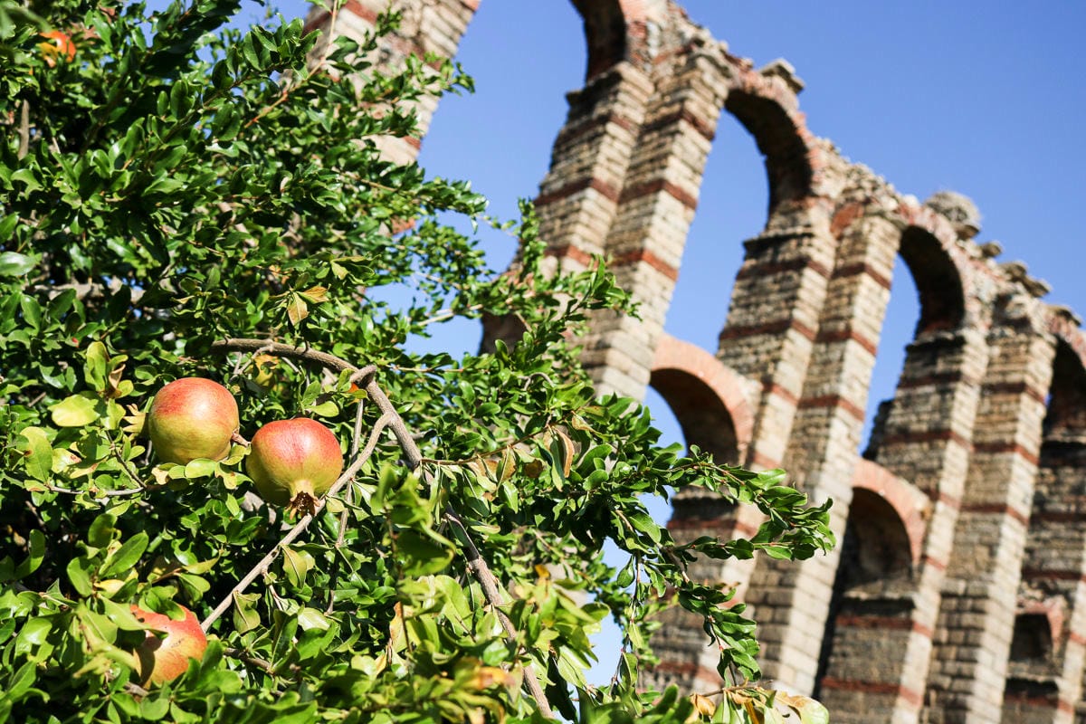 西班牙梅里達自助｜景點交通住宿旅遊路線 閃耀輝煌羅馬古城歷史