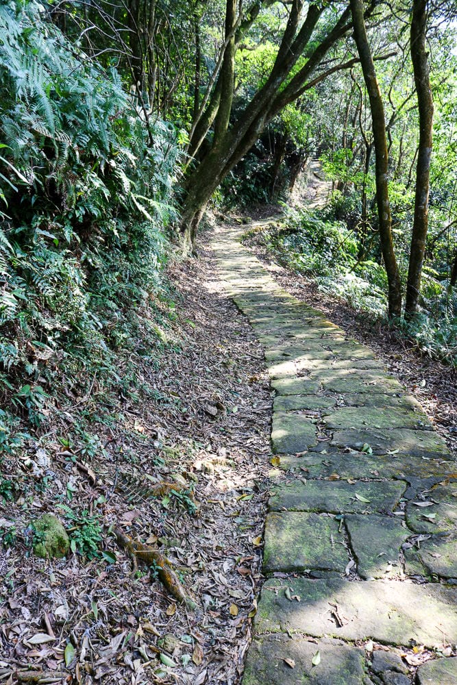 內湖碧山巖往龍船岩步道！有龍脈經過的台北三大懸崖之一圓覺瀑布更驚悚