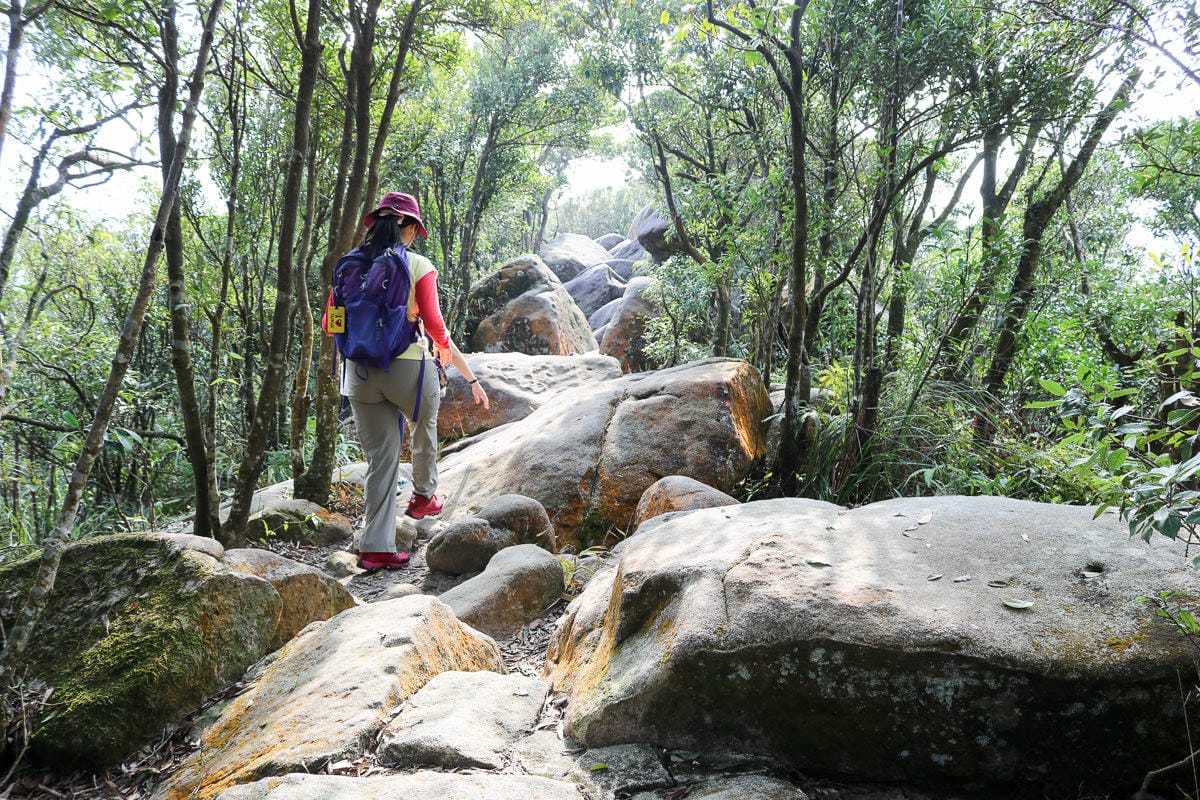 內湖碧山巖往龍船岩步道！有龍脈經過的台北三大懸崖之一圓覺瀑布更驚悚