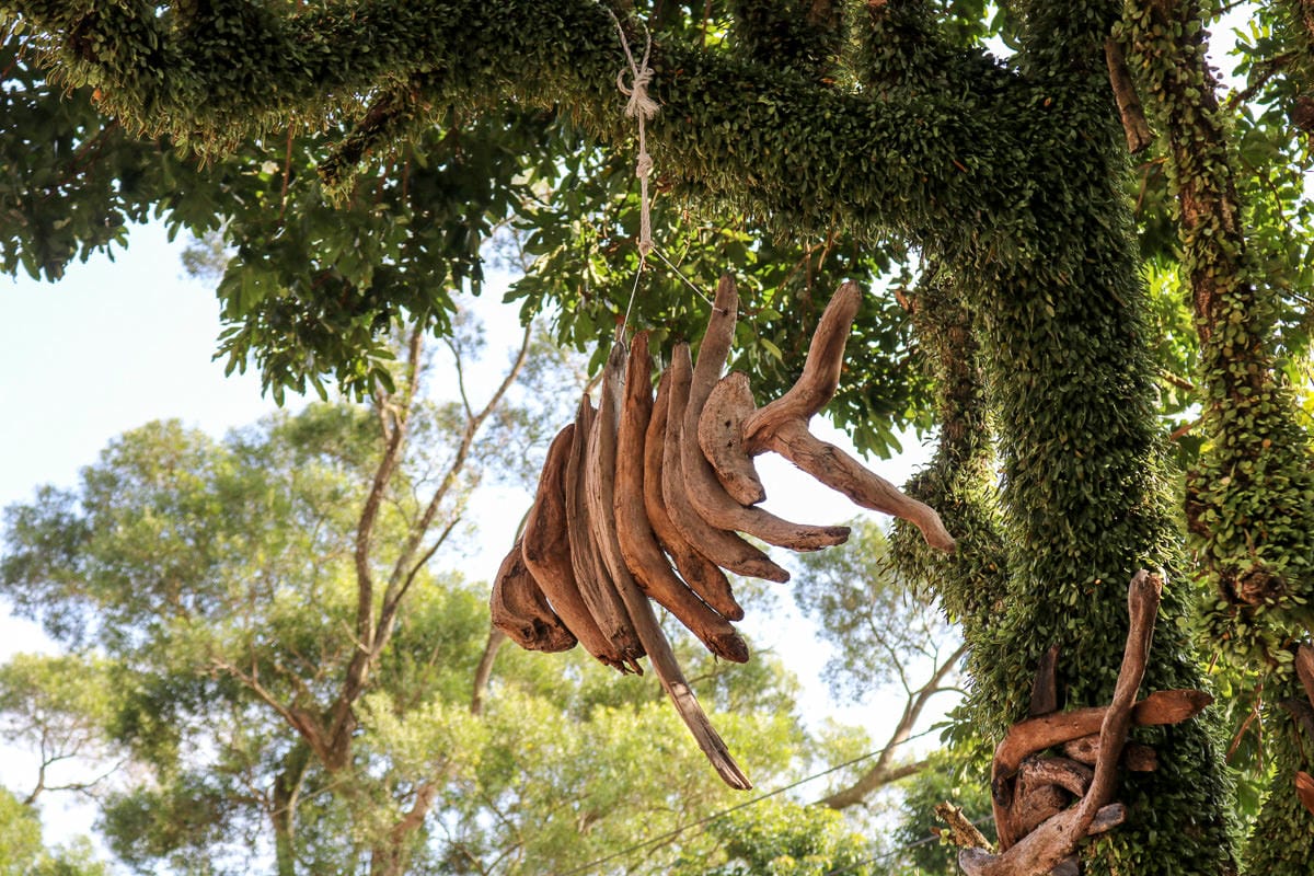 內湖碧山巖往龍船岩步道！有龍脈經過的台北三大懸崖之一圓覺瀑布更驚悚