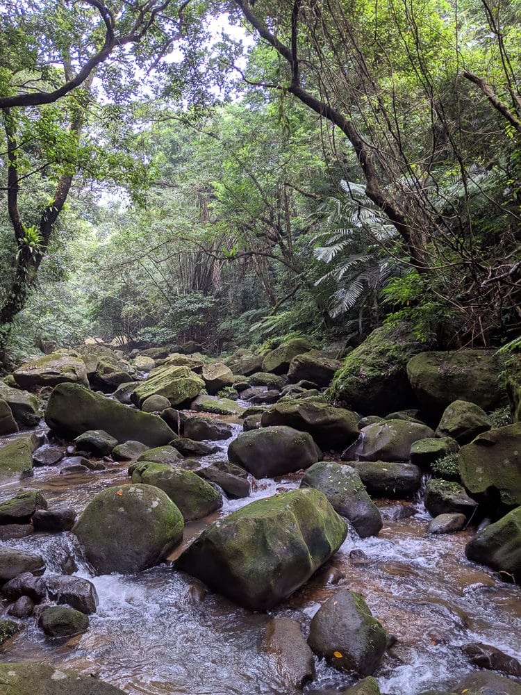 內湖合菜源味軒 熱炒聚餐推薦香辣湖南蛋好吃