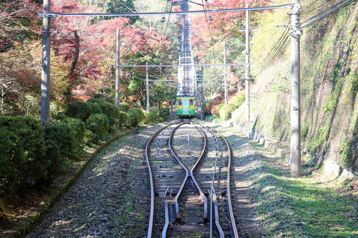 東京出發！千葉房總半島自駕四天三夜路線海鮮是冬天重點