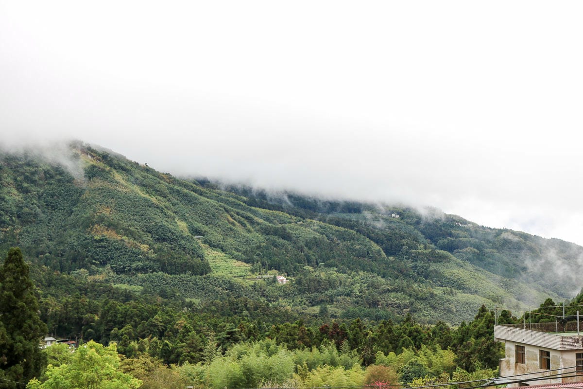 嘉義奮起湖輕旅行放空三天兩夜路線，靠近阿里山一大步