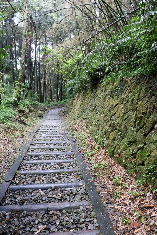 嘉義奮起湖輕旅行放空三天兩夜路線，靠近阿里山一大步