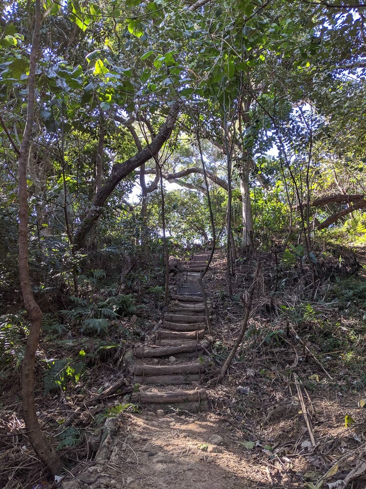內湖剪刀石 大金面山稜線縱走步道手腳並用華麗登場