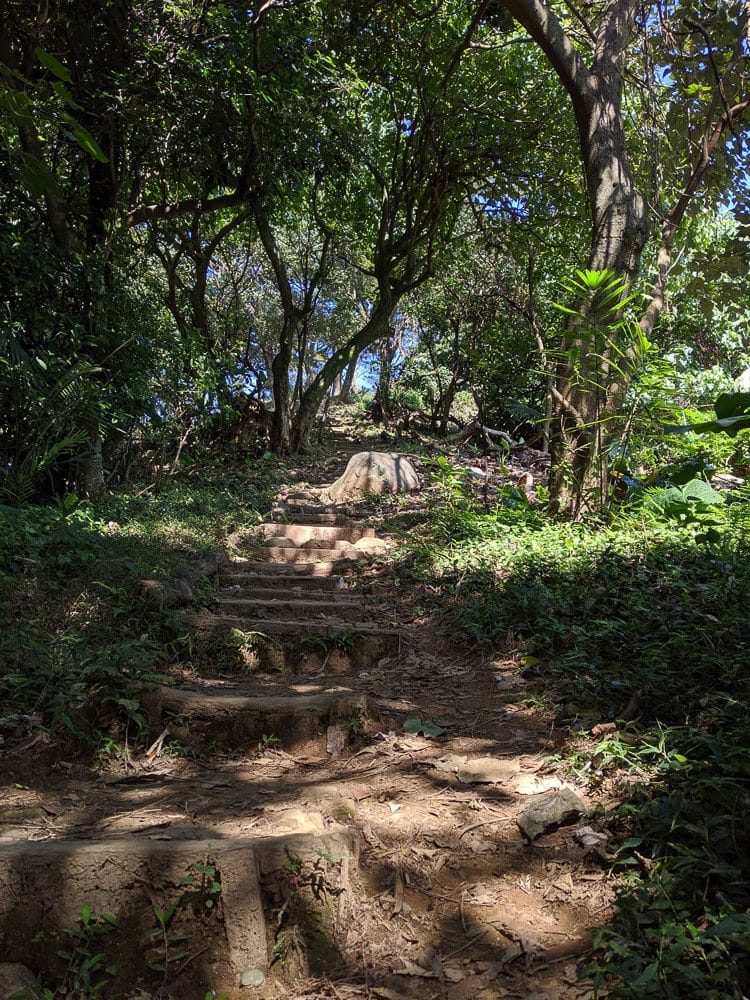 內湖剪刀石 大金面山稜線縱走步道手腳並用華麗登場