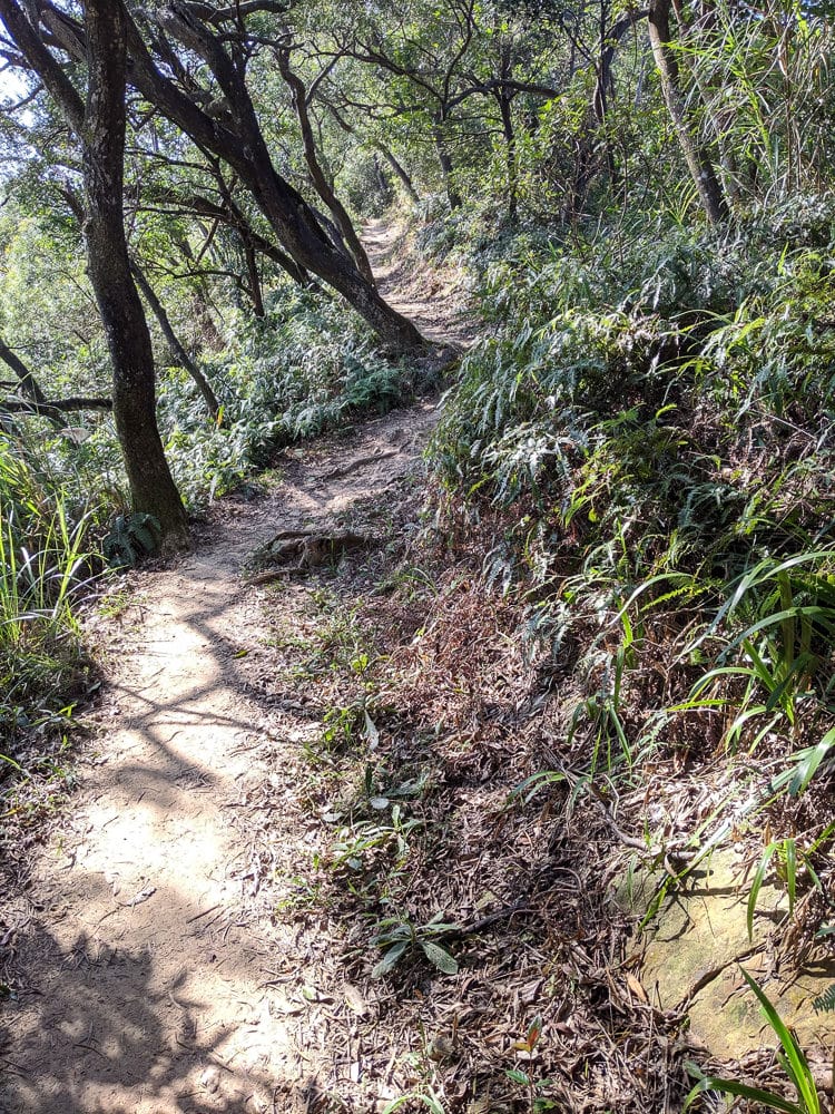內湖剪刀石 大金面山稜線縱走步道手腳並用華麗登場
