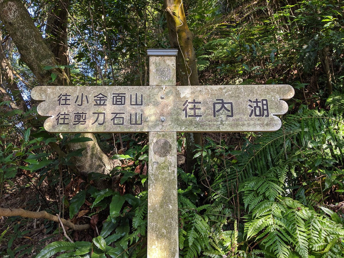 內湖剪刀石 大金面山稜線縱走步道手腳並用華麗登場