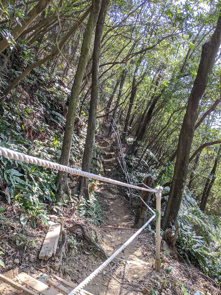 內湖剪刀石 大金面山稜線縱走步道手腳並用華麗登場