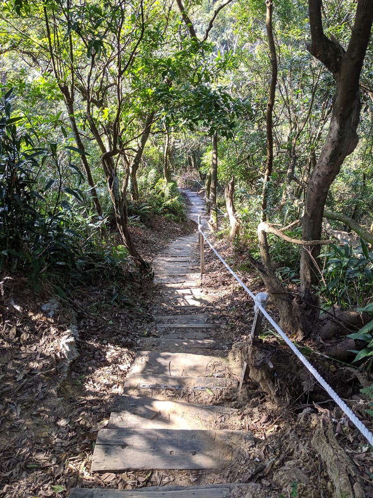 內湖剪刀石 大金面山稜線縱走步道手腳並用華麗登場