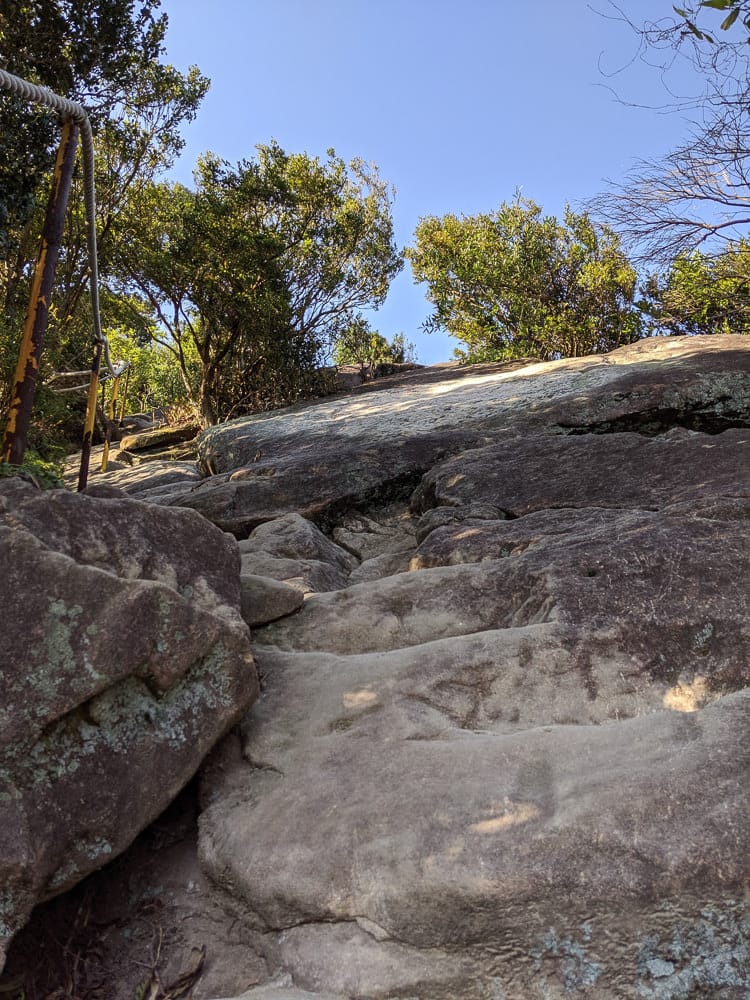 內湖剪刀石 大金面山稜線縱走步道手腳並用華麗登場
