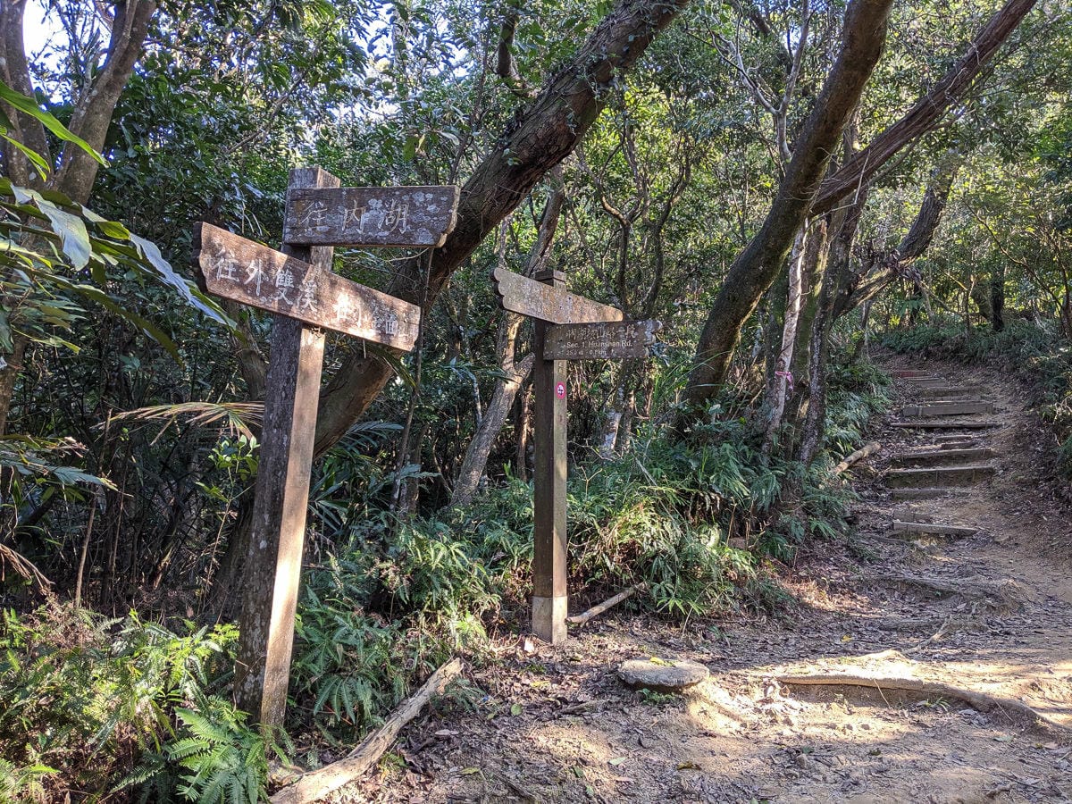 內湖剪刀石 大金面山稜線縱走步道手腳並用華麗登場