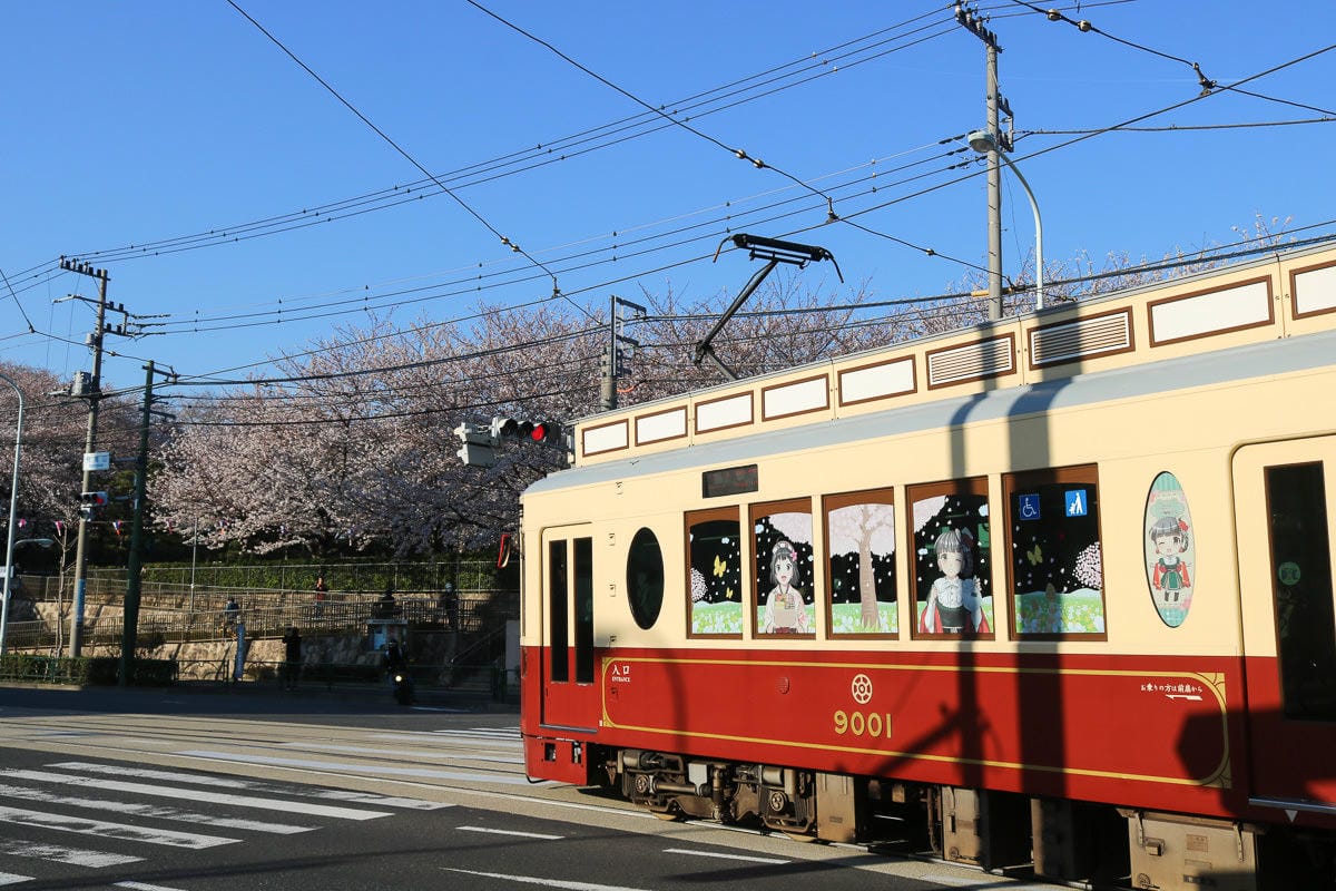 東京賞櫻景點 王子飛鳥山公園避開人潮追櫻好地方順便吃黑松銅鑼燒