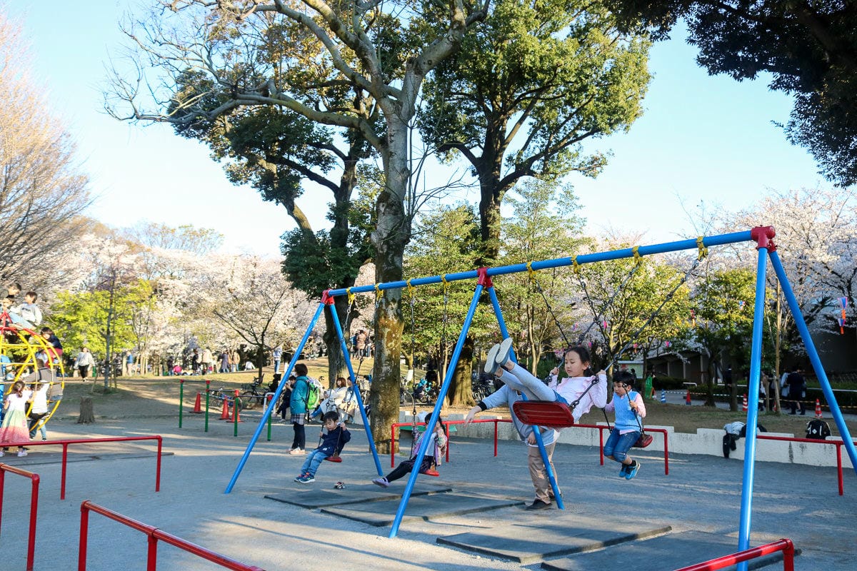 東京賞櫻景點 王子飛鳥山公園避開人潮追櫻好地方順便吃黑松銅鑼燒
