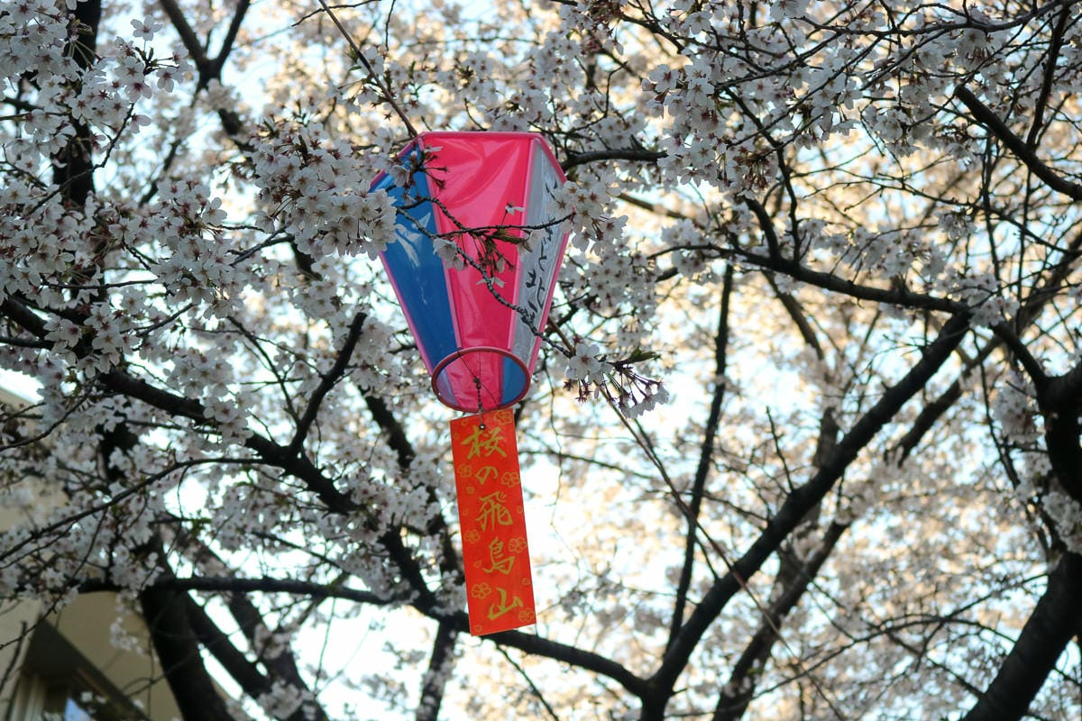 東京賞櫻景點 王子飛鳥山公園避開人潮追櫻好地方順便吃黑松銅鑼燒