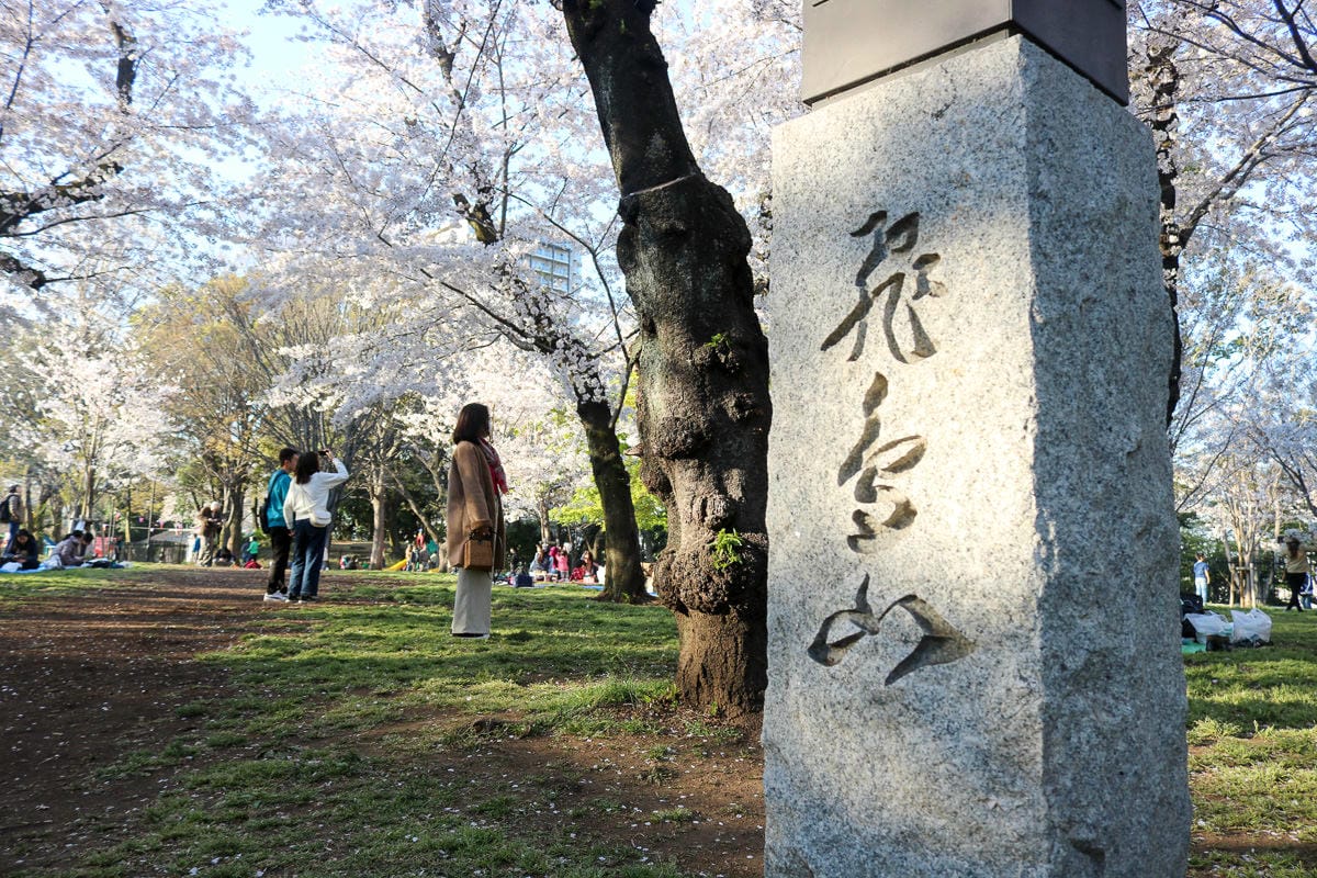 東京賞櫻景點 王子飛鳥山公園避開人潮追櫻好地方順便吃黑松銅鑼燒