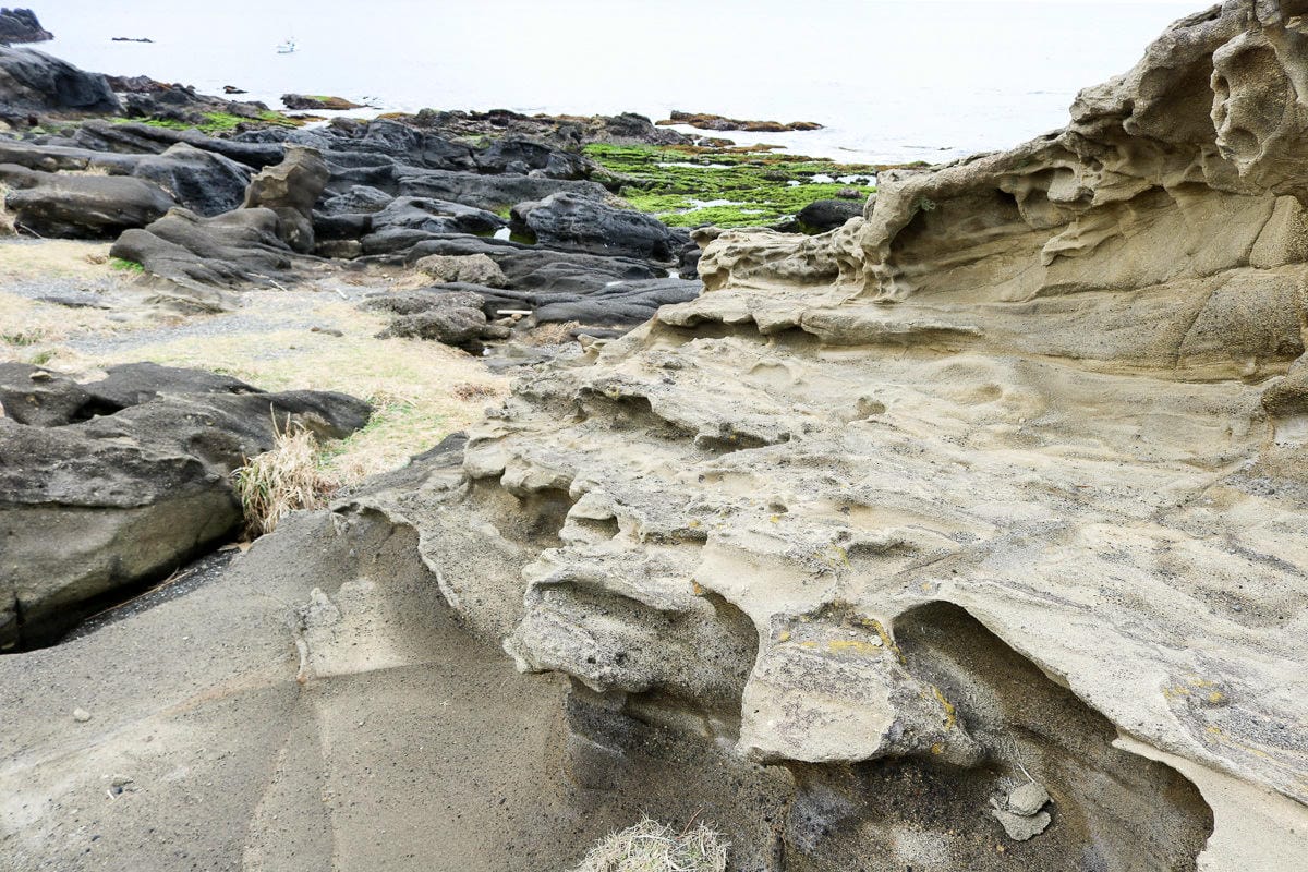 東京出發！千葉房總半島自駕四天三夜路線海鮮是冬天重點
