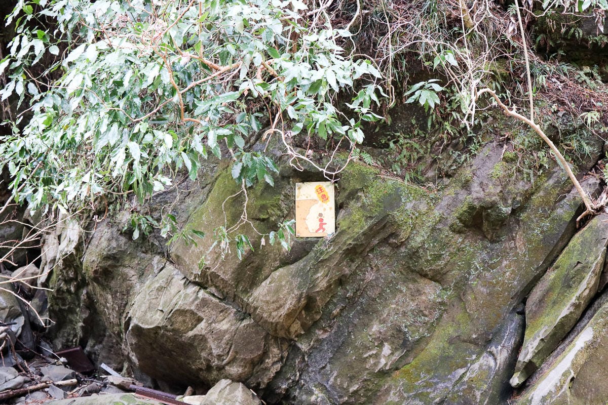 東京出發！千葉房總半島自駕四天三夜路線海鮮是冬天重點