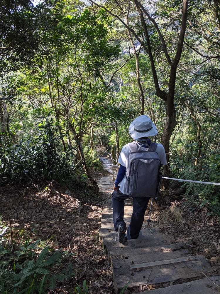 背痛怎辦?你有拒絕疼痛的力量《背脊肌筋膜 照護百科解剖書》讀後感 - 第3張圖 背痛怎辦?你有拒絕疼痛的力量《背脊肌筋膜 照護百科解剖書》讀後感