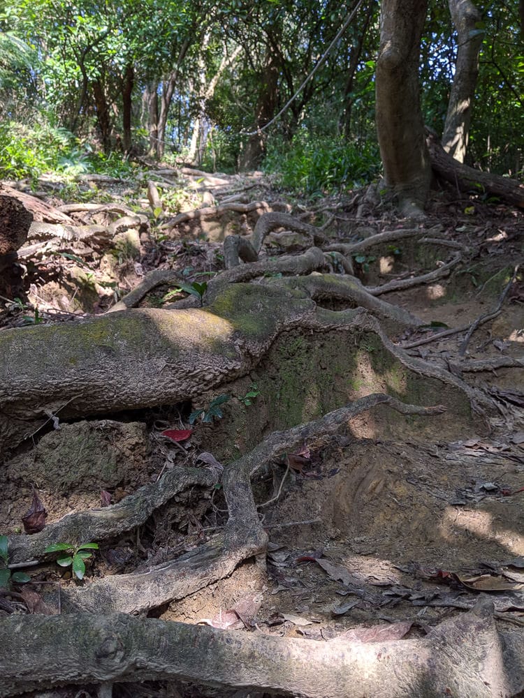 內湖健行登山 康樂山步道 明舉山步道 內溝溪生態展示館 Google地圖沒有怎麼走