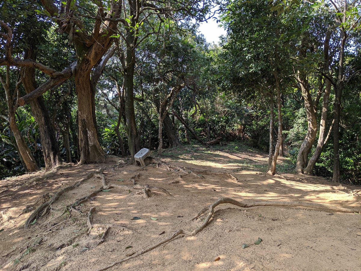 內湖健行登山 康樂山步道 明舉山步道 內溝溪生態展示館 Google地圖沒有怎麼走