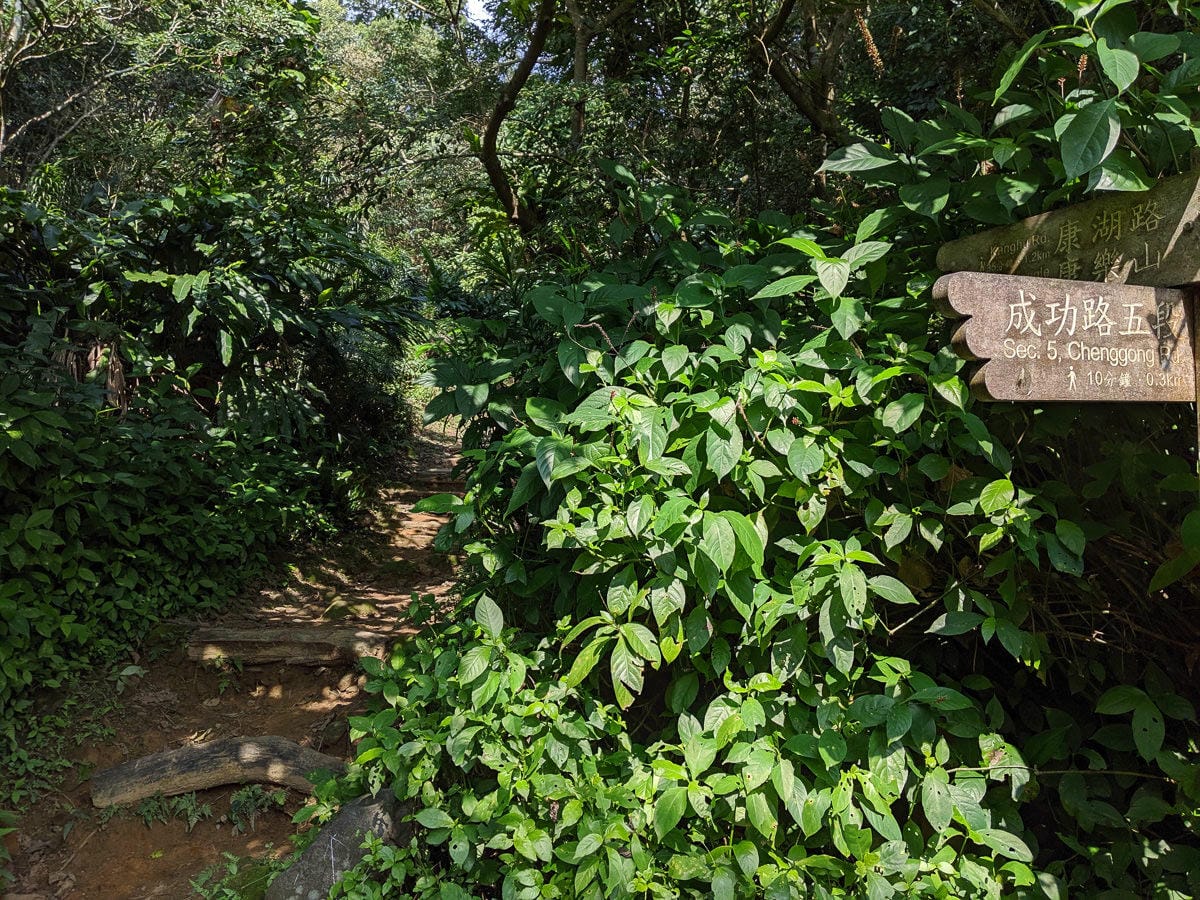 內湖健行登山 康樂山步道 明舉山步道 內溝溪生態展示館 Google地圖沒有怎麼走